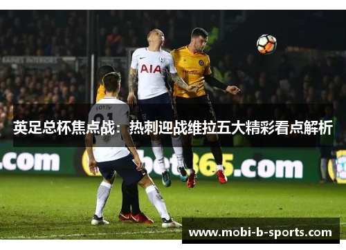 英足总杯焦点战:热刺迎战维拉五大精彩看点解析 英足总杯焦点战:热刺迎战维拉五大精彩看点解析
