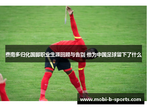费南多归化国脚职业生涯回顾与告别 他为中国足球留下了什么 费南多归化国脚职业生涯回顾与告别 他为中国足球留下了什么