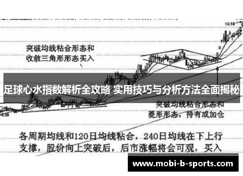 足球心水指数解析全攻略 实用技巧与分析方法全面揭秘 足球心水指数解析全攻略 实用技巧与分析方法全面揭秘