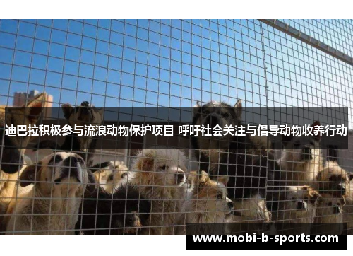 迪巴拉积极参与流浪动物保护项目 呼吁社会关注与倡导动物收养行动 迪巴拉积极参与流浪动物保护项目 呼吁社会关注与倡导动物收养行动