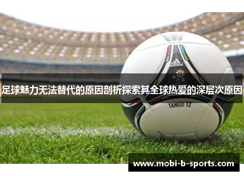 足球魅力无法替代的原因剖析探索其全球热爱的深层次原因